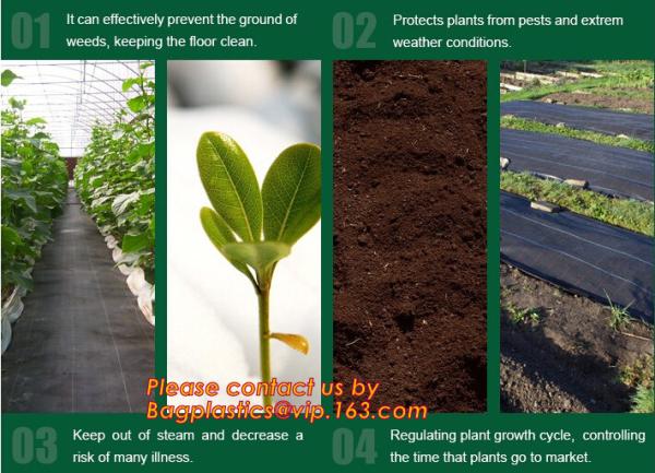 PP woven weed mat,ground cover, black fabric,weed barrier for agriculture, weed killer fabric, agricultural anti weed ma