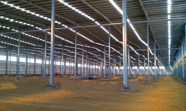 Construção da construção de aço da logística da altura 12.5m