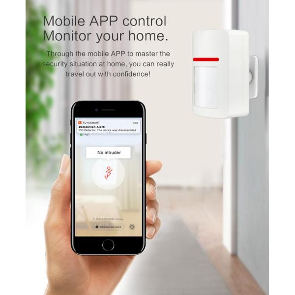 Установленный стеной датчик движения 802.11b Kaizen WiFi PIR