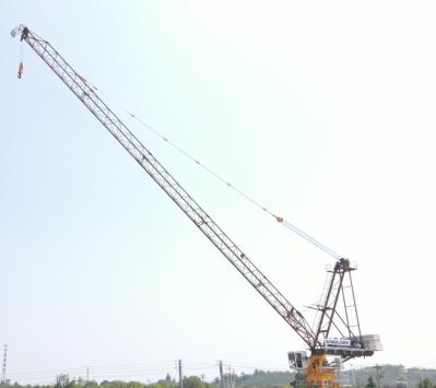 Construção Luffing Torre guindaste Luffing guindaste Jib 6T