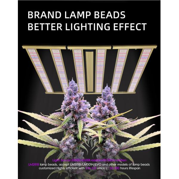 Commercial Horticulture LED Grow Lights 1500W Full Spectrum Dimmable LED Grow Lights