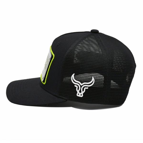 Крышка водителя грузовика панели высоко-профильного 5 в черном красном белом голубом изготовленном на заказ цвете