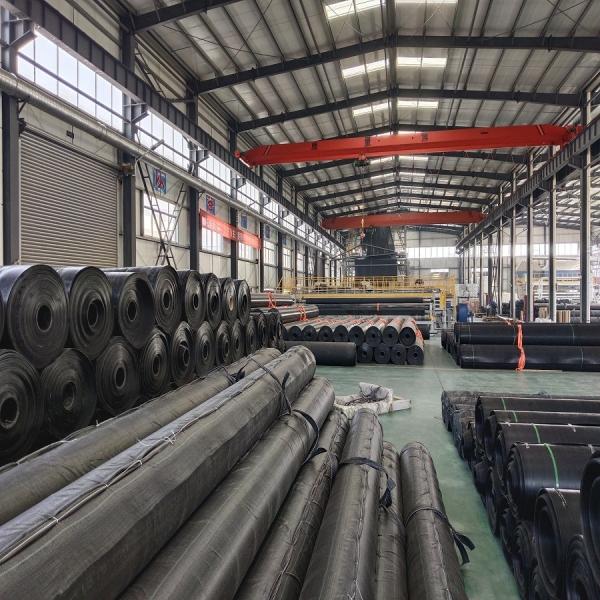 1m-8m Width HDPE Geomembrane Fish Pond Liners for Aquaculture and Landfill Applications