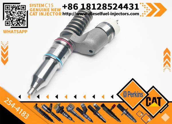 254-4183 294-3500 Injecteur de carburant pour le rail commun Pour moteur Caterpillar C15 C18 2544183 2943500 Ensemble d'injecteurs diesel