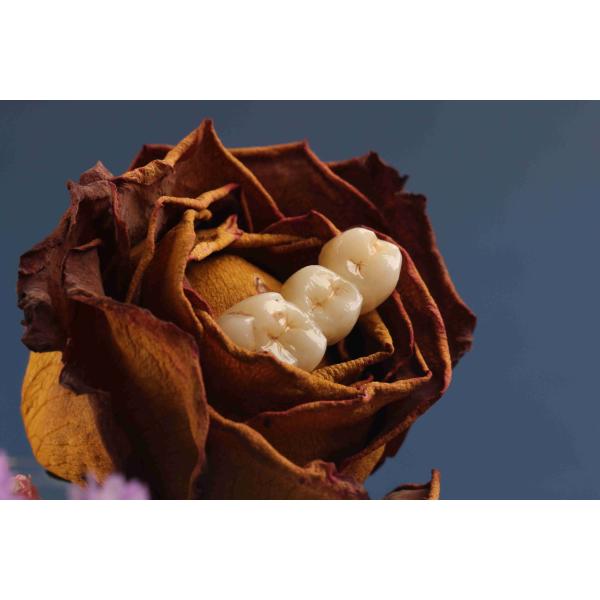 Естественный блок Zirconia градиента 3D разнослоистый зубоврачебный