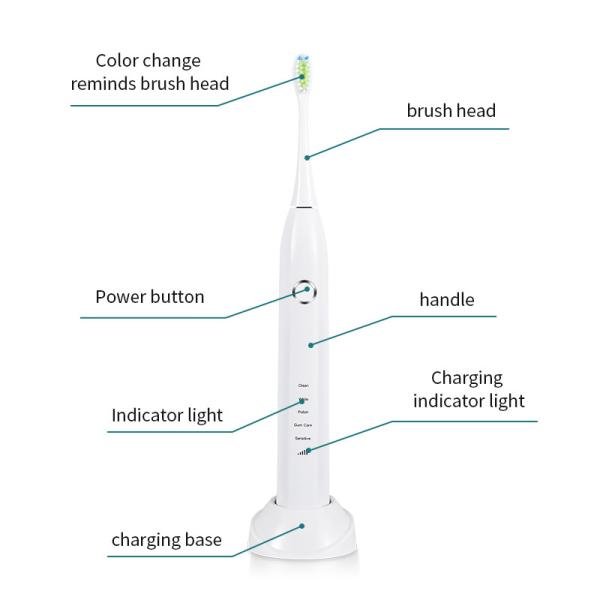 IPX7 Waterproof Rechargeable Sonic Electric Toothbrush OEM ODM