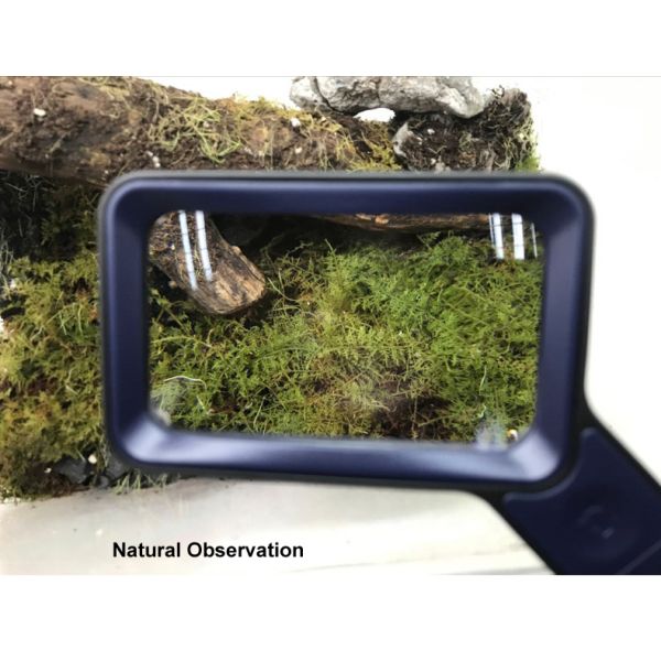 3X Handheld Screen Magnifier LED Light Book Reading Maintenance Identification Collection Jewelry Antique Foldable Desktop