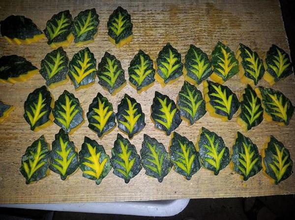 Frozen Blanched Sweet Pumpkin(Leaf Shaped) For Food Decoration