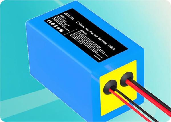 25.6V 36Ah LiFePO4 Battery Pack with 50A Discharge 1000 Cycles