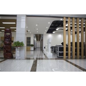 Changsha Maya Special Effects Equipment Co., Ltd