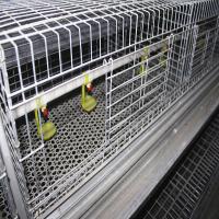 Poulet rêveur galvanisé de planchers de cage de poulet, 3 ou 4 soulevant l'équipement