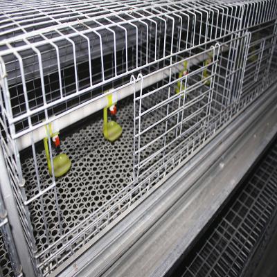 Galinha Broody galvanizada da gaiola da galinha, 3 ou 4 dos assoalhos que aumenta o equipamento