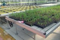 Agricultural Ebb And Flow Benches Hydroponic Seedbed Indoor Grow Room Benches