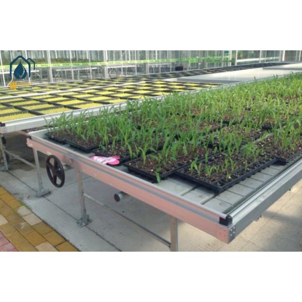 Agricultural Ebb And Flow Rolling Benches Indoor Grow Room Benches