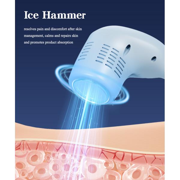 Appareil de rajeunissement de la peau par radiofréquence Équipement de lifting du visage non chirurgical AC220V 110V