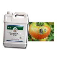 Fungicida agrícola CY30 Biocida Cure Tomate Chili Antracnose