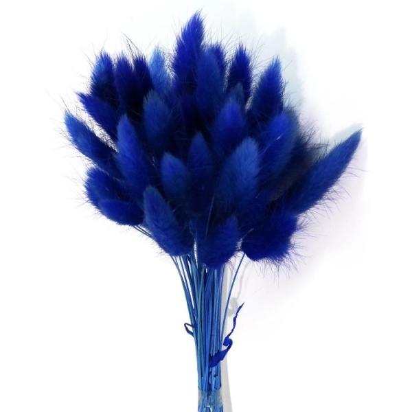 Wholesale cheap preserved dried flower 150 pcs /bunch dried rabbit tail grass lagurus ovatus