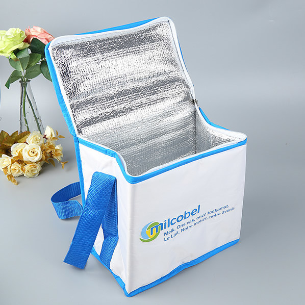 Custom Imprint Bag Grocery Lunch Tote Cooler  Thermal Lunch Cooler Bag, Custom size, weight, design