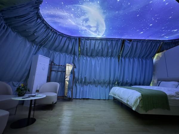 Modern Fashionable Outdoor Prefab Infinitely Elongated Elliptical Shape Star Room for Glamping Geodesic Dome House for Hotels