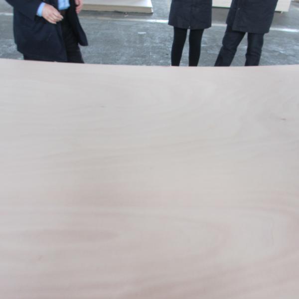 BS1088 Llyods Marine Okoume Plywood