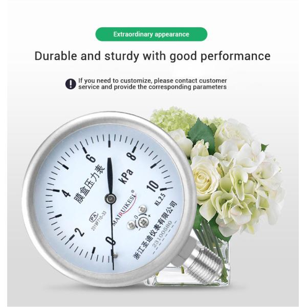 YE75BF 76mm Nominal Diameter Overvoltage Protection All Stainless Steel Pressure Gauge