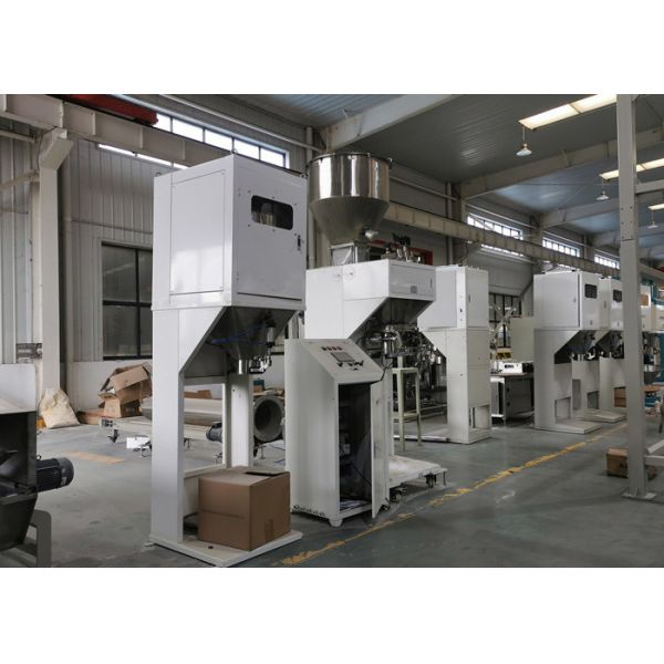 300-600 BPH Double Bucket Granule Packing Machine with Touch Screen Control for Bulk Material