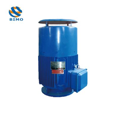 NEMA Vertical Hollow Shaft Motor IP54 380V 660V 3 Phase 50HZ 1450rpm 75kw VHS Motor