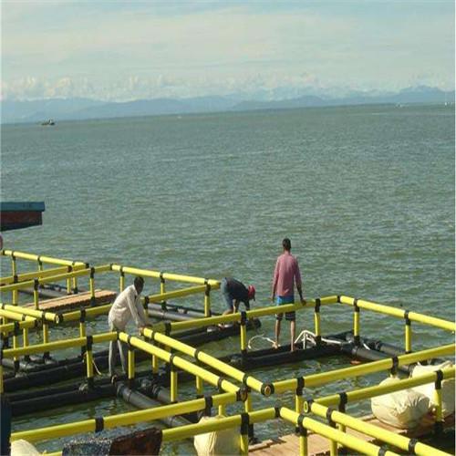 PE Bracket Square Floating Fish Cage Excellent Flexibility Hygienic Safety