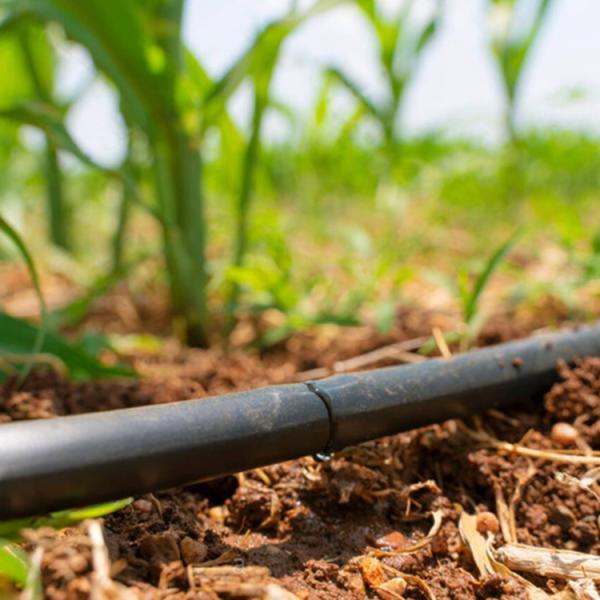 Парник тоннеля одиночного фильма PE пяди пластикового аграрный с ирригационной системой капельного орошения