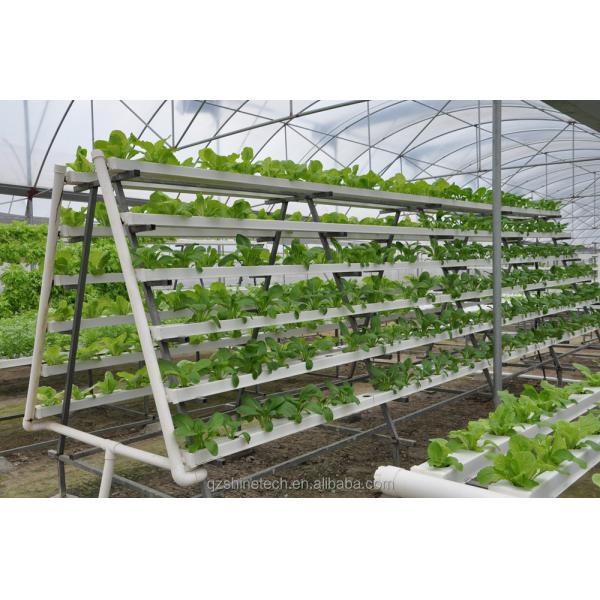 Видео Выходящая инспекция Гидропоническая теплица для производства зеленых листовых овощей