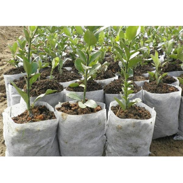 Agriculture / Medical PP Non Woven Fabric Black White 320cm