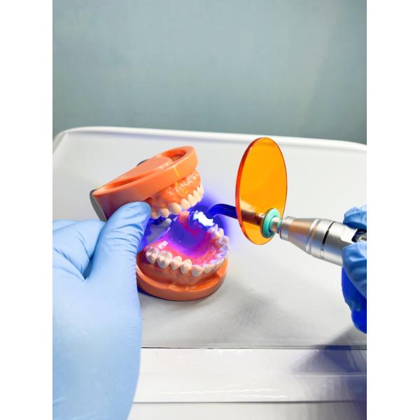 Специализированная приемка Птицы Зубная терапия Мобильная тележка Животная больница Ветеринарная стоматологическая рабочая станция