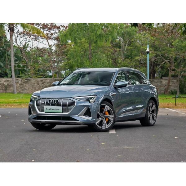 Audi E-Tron 2021 50 Quattro Zhenxuan Version SUV 5 Seats Luxury
