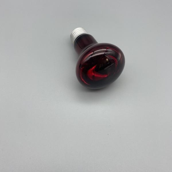 Blue Red Black Repti Basking Spot Lamp 75W Terrarium Heat Lamp