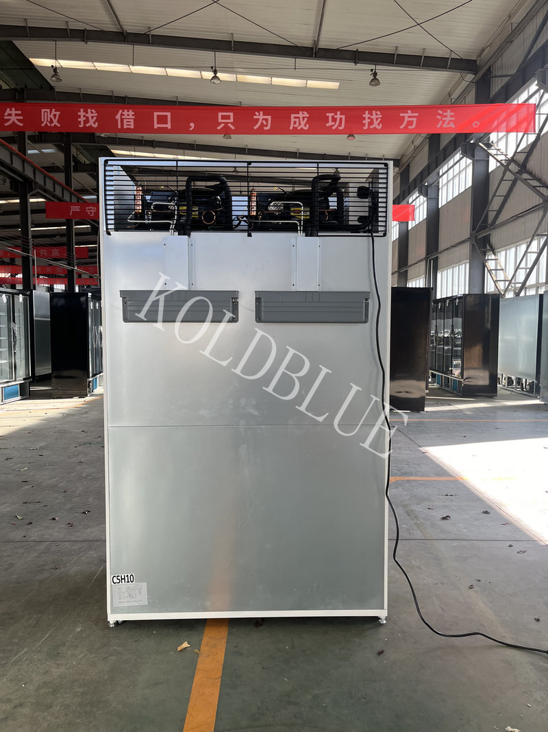 Plug-in Deep Capacity Upright Glass Door Refrigerator Commercial Display Chiller & Freezer