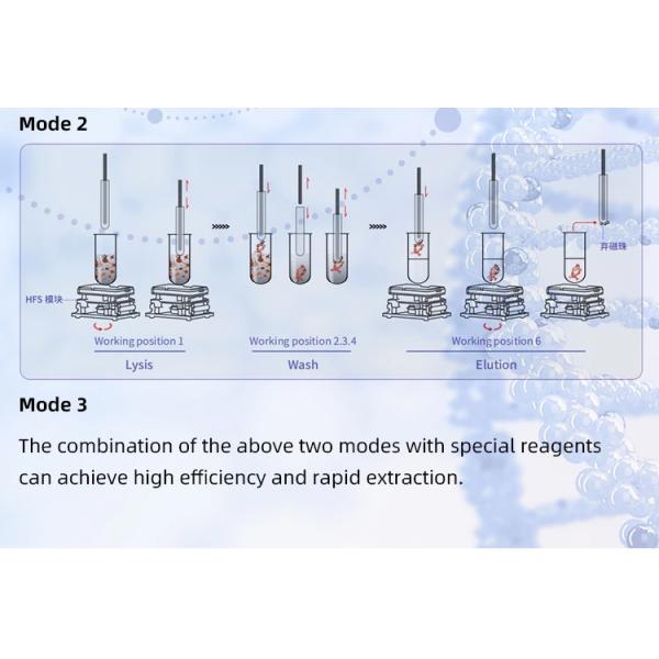Laboratory Equipment Customized Support for OEM Automatic Nucleic Acid Extractor