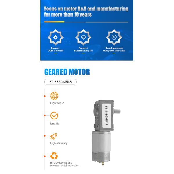 FT-58SGM555 12V 24V High Torque Electric Worm Gear Motor Wall Mounted