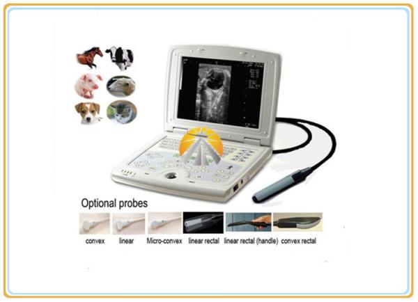 Laptop Veterinary Ultrasound Scanner , Digital Livestock Ultrasound Equipment