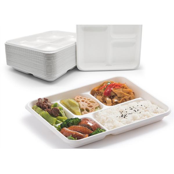 School Disposable Biodegradable Bagasse Tableware 6 5 3 Compartment Lunch Tray