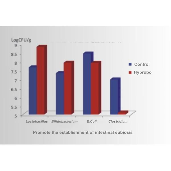 Powder Form 20bln cfu/g Probiotics For Animal Piglet