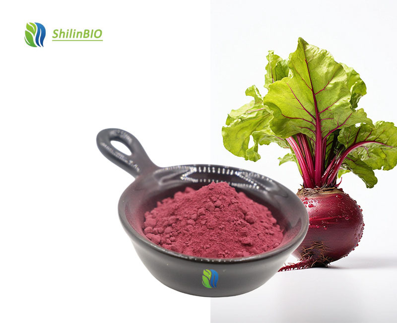 SLBIO Supply Herbal Extract Supplement Beetroot Powder Customized Private Label Beet Root Powder