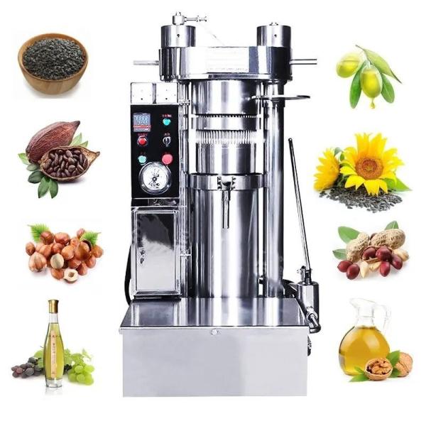 High Oil-Yield Avocado Moringa Coconut Olive Oil Press Machine for Customized Request