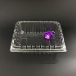 Corrosion Resistance Plastic Packaging Boxes Punnet Pack Box