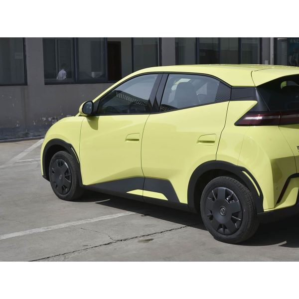 BYD Compact Car Pure Electric BYD Seagull 2025 Flying