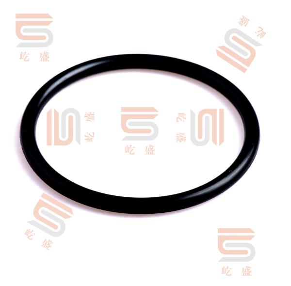 Semiconductor Industry 11.3Mpa Rubber O Ring Seal