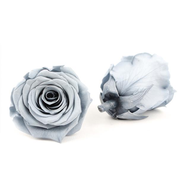 6pcs Long Lasting Diameter 5-6cm Preserved Flower Heads