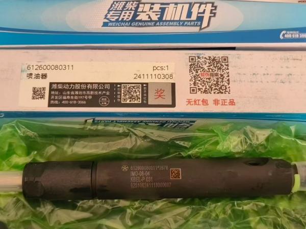 Weichai Baudouin 6M33 12M26 12M33 engine parts 1001703128 Injector original parts
