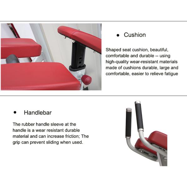 Matrix Bodybuilding Gym Equipment / Hip Machine Color Custom Available