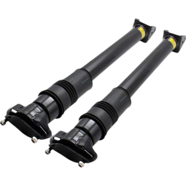 2513202231 Mercedes Air Suspension Rear Shock Absorbers W/o ADS R Class W251 V251