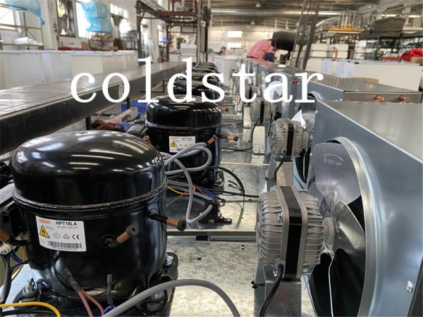 Display pepsi freezer 500l double glass doors cold showcase display refrigerator freezer